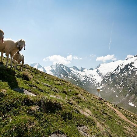 Appartement Elmar Obergurgl Dış mekan fotoğraf