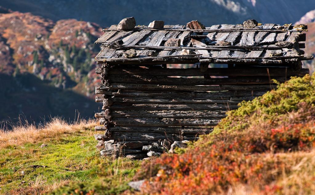Appartement Elmar Obergurgl Dış mekan fotoğraf