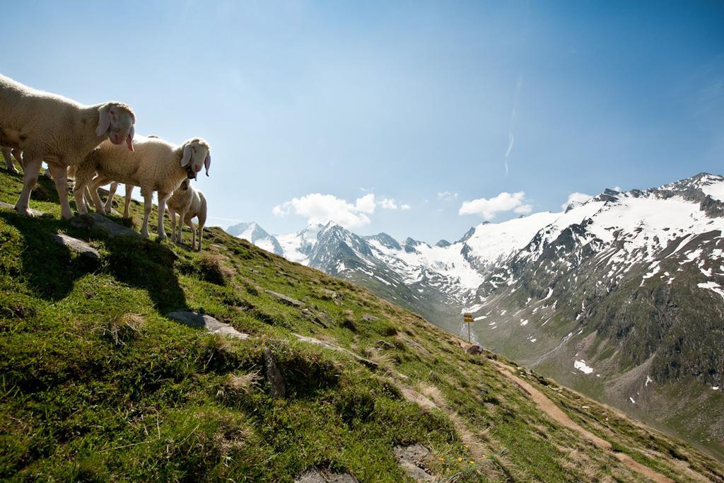 Appartement Elmar Obergurgl Dış mekan fotoğraf